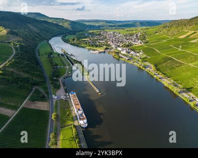 Vue aérienne du bateau de croisière fluvial Antonio Bellucci (Thurgau Travel) amarré à côté de l'écluse de Wintrich sur la Moselle, Minheim, Rhénanie-Palatinat, Banque D'Images