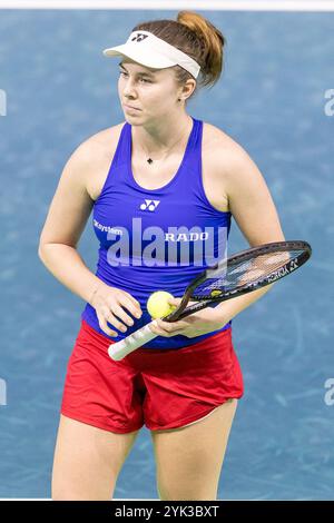 16 novembre 2024 ; Palacio de Deportes Jose Maria Martin Carpena Arena, Malaga, Espagne ; finale de la Coupe Billie Jean King, jour 4 ; Linda Noskova (CZE) contre IgA Swiatek (POL) Banque D'Images