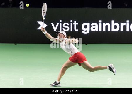 16 novembre 2024 ; Palacio de Deportes Jose Maria Martin Carpena Arena, Malaga, Espagne ; finale de la Coupe Billie Jean King, jour 4 ; IgA Swiatek (POL) contre Linda Noskova (CZE) Banque D'Images