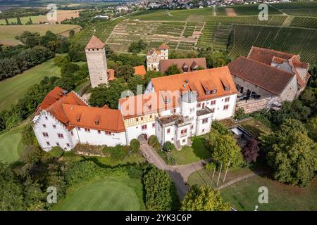 Château de Liebenstein près de Neckarwestheim vu des airs, Bade-Württemberg, Allemagne Banque D'Images