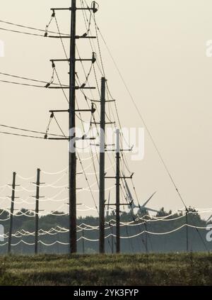 Les éoliennes et l'énergie électrique des poteaux avec lignes sont vu d'Iowa highway au cours de secrétaire de l'Agriculture des États-Unis Sonny Perdue, rural, avec visite de l'état du Wisconsin, Minnesota, Iowa, l'Illinois et l'Indiana. Le "retour à nos racines" Tour, recueille de l'information sur la loi agricole de 2018 et l'augmentation de la prospérité rurale. Le long de la route, Perdue se réunira avec les agriculteurs, les éleveurs, les forestiers, les producteurs, les étudiants, administrateurs, membres du Congrès, Ministère de l'Agriculture des États-Unis (USDA), employés et autres parties prenantes. C'est le premier des deux tours le secrétaire RV entreprendra cet été. "Un retour à la Banque D'Images