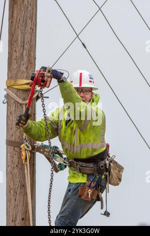 Brandon Joueur de contrat Sims a grimpé poteau au châssis pour les tenir sur le fil comme Virginia's BARC Electric Cooperative ouvre la voie dans la région de Lexington en Virginie, l'installation de câbles à fibres optiques le réseau électrique existant, ce qui permettra de porter à haute vitesse à large bande fiable pour le secteur pour la première fois. Les zones rurales où les entreprises et les consommateurs résidentiels utiliser le service à large bande sont plus susceptibles de profiter de l'augmentation des revenus, le taux de chômage plus faible et une plus forte croissance que celles qui n'ont pas le haut débit. Parce qu'à large bande offre la connectivité aux zones rurales, l'éducation, soins de santé et d'autres servic Banque D'Images