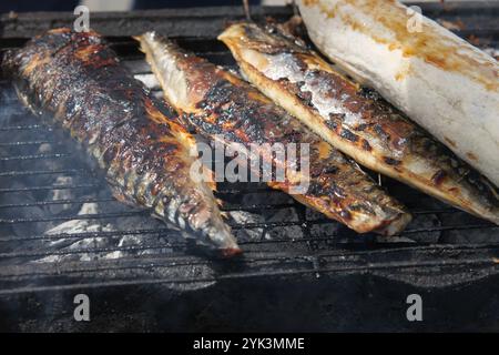 Griller délicieusement des tacos de poisson en utilisant uniquement des ingrédients frais sur le barbecue d'été Banque D'Images