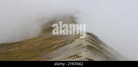 Journée brumeuse sur le mont Robert, Nouvelle-Zélande. Banque D'Images