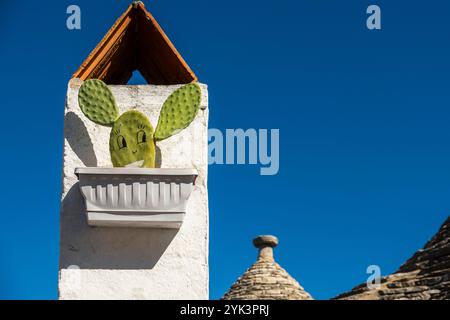 Cactus avec un joli visage souriant à Alberobello, Pouilles, Italie. Banque D'Images