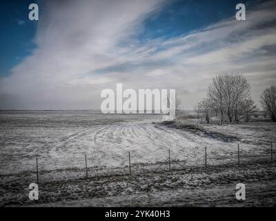 Un paysage hivernal enneigé par la route en Voïvodine, Serbie Banque D'Images