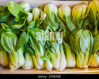 Bok choy ou chou chinois dans une boîte en bois au marché rural. Vue ci-dessus. Banque D'Images