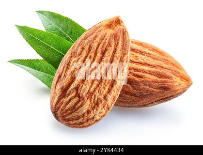 Noix d'amande et feuilles d'amande isolées sur fond blanc. Le fichier contient un chemin de détourage. Banque D'Images