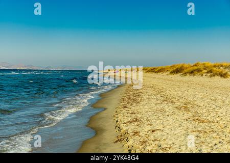 Une courte promenade sur la plage autour du magnifique lac salé à Marmari dans le sud de la mer Égée avec une vue sur quelques flamants roses - Grèce Banque D'Images