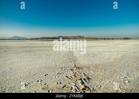 Une courte promenade sur la plage autour du magnifique lac salé à Marmari dans le sud de la mer Égée avec une vue sur quelques flamants roses - Grèce Banque D'Images