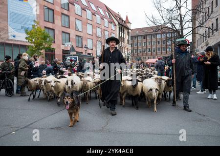 Nuremberg, Allemagne. 17 novembre 2024. Tim Gackstatter (à gauche) conduit environ 700 moutons dans le centre-ville de Nuremberg. Le berger Thomas Gackstatter, ses enfants et ses assistants conduisent environ 700 moutons à travers le centre-ville de Nuremberg pour amener les animaux dans leurs pâturages d'hiver. Crédit : Daniel Vogl/dpa/Alamy Live News Banque D'Images