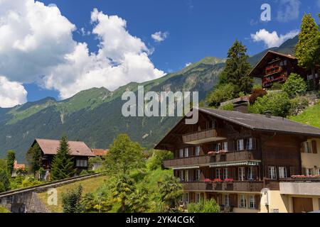 Chalets traditionnels à flanc de colline, Brienz, Suisse Banque D'Images