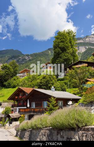 Chalets traditionnels à flanc de colline, Brienz, Suisse Banque D'Images