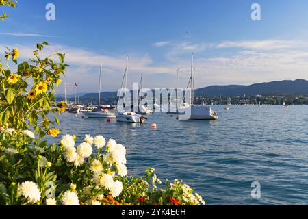 Bateaux sur le lac de Zurich, Zurich, Suisse Banque D'Images