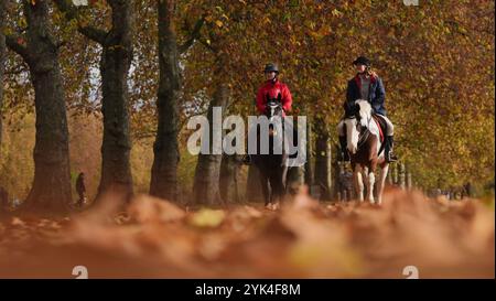 Les gens qui montent à cheval à Hyde Park, dans le centre de Londres. Date de la photo : dimanche 17 novembre 2024. Banque D'Images