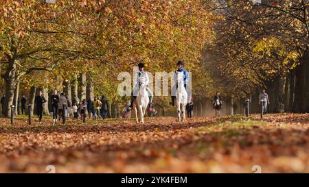 Les gens qui montent à cheval à Hyde Park, dans le centre de Londres. Date de la photo : dimanche 17 novembre 2024. Banque D'Images
