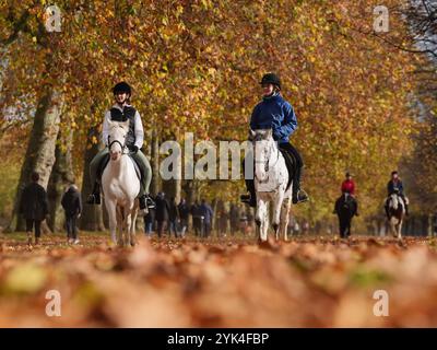 Les gens qui montent à cheval à Hyde Park, dans le centre de Londres. Date de la photo : dimanche 17 novembre 2024. Banque D'Images