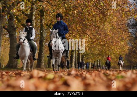 Les gens qui montent à cheval à Hyde Park, dans le centre de Londres. Date de la photo : dimanche 17 novembre 2024. Banque D'Images