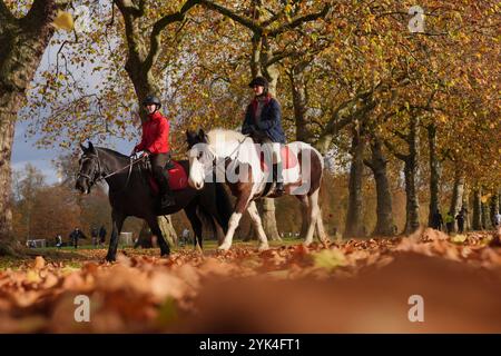 Les gens qui montent à cheval à Hyde Park, dans le centre de Londres. Date de la photo : dimanche 17 novembre 2024. Banque D'Images