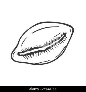 Motif tigre cowrie coquille de mer. Dessin de vecteur de style d'esquisse dessiné à la main de coquille de mollusque sous-marin de récif tropique. Isolé sur fond blanc. Rétro desi Illustration de Vecteur