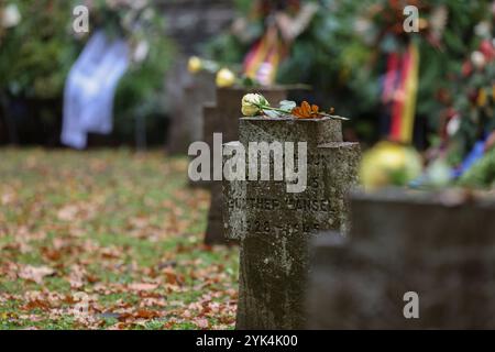 Es wurden gelbe Rosen auf die Steinkreuze gelegt. Volkstrauertag, zum Gedenken an die Toten der beiden Weltkriege. Kreisehrengedenkstaette Kreisehrengedenkstätte in Siegen-Gosenbach Volkstrauertag am 17.11.2024 in Siegen/Deutschland. *** Des roses jaunes ont été placées sur les croix de pierre Volkstrauertag, en mémoire des morts des deux guerres mondiales Kreisehrengedenkstaette Kreisehrengedenkstätte à Siegen Gosenbach Volkstrauertag le 17 11 2024 à Siegen Allemagne Banque D'Images