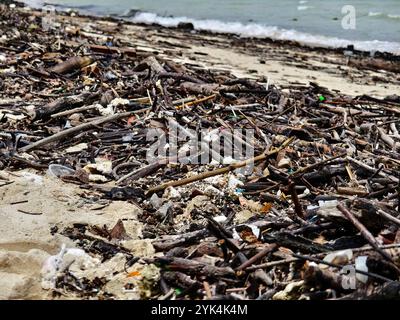 Une plage lourdement jonchée de bois et de plastique Banque D'Images