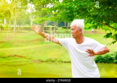 Tai chi senior homme senior asiatique pratiquant le tai chi dans le parc Copyright : xZoonar.com/szefeix 1053981036st Banque D'Images