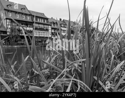 Photographie en noir et blanc sur les rives du Regnitz avec une coupe dans la petite Venise dans la ville de Bamberg haute-Franconie Bavière Banque D'Images