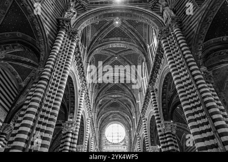 Sienne, Italie - 7 avril 2022 : vue intérieure de la cathédrale de Sienne, dédiée à l'Assomption de Marie. Banque D'Images