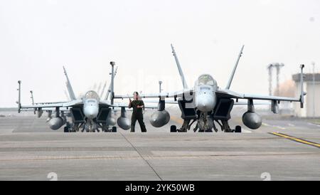 Iwakuni, Japon. 17 novembre 2024. Le F/A-18E Super Hornet de l'escadron de chasse d'attaque (VFA) 27 de la marine américaine arrive à la Marine corps Air Station Iwakuni à Iwakuni, préfecture de Yamaguchi, Japon le dimanche 17 novembre 2024. Photo de Keizo Mori/UPI crédit : UPI/Alamy Live News Banque D'Images