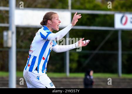 Heerenveen, pays-Bas. 17 novembre 2024. HEERENVEEN, PAYS-BAS - 17 NOVEMBRE : Evi Maatman de SC Heerenveen réagit lors du match Eredivisie féminin d'Azerion entre SC Heerenveen et Telstar au Sportpark Skoatterwâld le 17 novembre 2024 à Heerenveen, pays-Bas. (Photo de Pieter van der Woude/Orange Pictures) crédit : Orange pics BV/Alamy Live News Banque D'Images