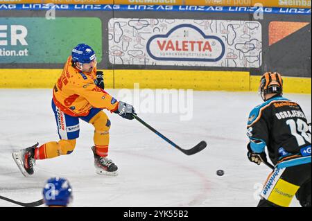 Linz, Autriche. 17 novembre 2024. LINZ, AUTRICHE - 17 NOVEMBRE : carter Christopher Turnbull de Migross Supermercati Asiago Hockey lors du match de la Ligue de hockey SUR GLACE Win2 jours entre Steinbach Black Wings Linz contre Migross Supermercati Asiago Hockey à Linz AG Eisarena le 17 novembre 2024 à Linz, Autriche.241117 SEPA 20 014 - 20241117 PD4280 crédit : APA-PictureDesk/Alamy Live News Banque D'Images