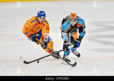 Linz, Autriche. 17 novembre 2024. LINZ, AUTRICHE - 17 NOVEMBRE : Filippo Rigoni de Migross Supermercati Asiago Hockey et Ian Scheid de Steinbach Black Wings Linz lors du match de la Ligue de hockey SUR GLACE Win2day entre Steinbach Black Wings Linz et Migross Supermercati Asiago Hockey à Linz AG Eisarena le 17 novembre 2024 à Linz, Autriche.241117 20 028 - 20241117 PD4284 crédit : APA-PictureDesk/Alamy Live News Banque D'Images