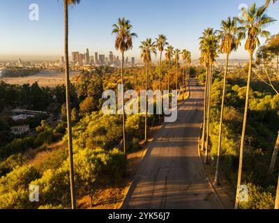 Vue aérienne en plongée d'une route sinueuse bordée de grands palmiers dans le parc Elysian, surplombant la skyline du centre-ville de Los Angeles au coucher du soleil Banque D'Images