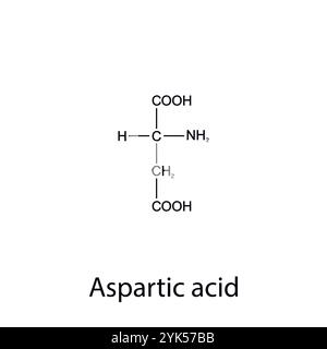 Formule chimique de l'acide aspartique. Acides aminés essentiels. Chimie organique. Illustration vectorielle. Illustration de Vecteur