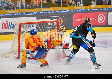 Linz, Autriche. 17 novembre 2024. LINZ, AUTRICHE - 17 NOVEMBRE : Filippo Rigoni de Migross Supermercati Asiago Hockey, Evan Anthony Stevenson Cowley de Migross Supermercati Asiago Hockey et Raphael Wolf de Steinbach Black Wings Linz lors du match de la ligue de hockey SUR GLACE DE 2 jours entre Steinbach Black Wings Linz contre Migross Supermercati Asiago Hockey à Linz AG Eisarena le 17 novembre 2024 à Linz, Autriche.241117 SEPA 20 20 006 - PDA 20241117 Banque D'Images