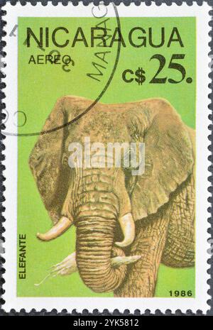 Timbre-poste oblitéré imprimé par le Nicaragua, qui montre l'éléphant d'Afrique (Loxodonta africana), vers 1986. Banque D'Images