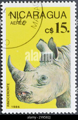 Timbre-poste oblitéré imprimé par le Nicaragua, qui montre le rhinocéros blanc (Ceratotherium simum), vers 1986. Banque D'Images