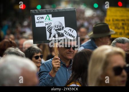 Malaga, Espagne. 17 novembre 2024. Un manifestant est vu brandissant une pancarte exprimant son opinion alors qu'il participe à une manifestation en faveur d'un système de santé décent. Sous le slogan : «N'attendez pas, bougez pour votre santé!», des milliers de personnes sont vues dans les rues pour soutenir la santé publique et les services de l'État et contre la privatisation du système de santé. (Photo de Jesus Merida/SOPA images/SIPA USA) crédit : SIPA USA/Alamy Live News Banque D'Images