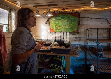 Dominique Herman élève des moutons mérinos saxons dans sa ferme de Warwick, New York. De plus, elle prévoit d’étendre son exploitation de légumes biologiques. (Photo USDA/APFC par Preston Keres) Banque D'Images