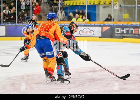 Linz, Autriche. 17 novembre 2024. LINZ, AUTRICHE - 17 NOVEMBRE : carter Christopher Turnbull de Migross Supermercati Asiago Hockey et Luka Maver de Steinbach Black Wings Linz lors du match de la Ligue de hockey SUR GLACE DE 2 jours entre Steinbach Black Wings Linz et Migross Supermercati Asiago Hockey à Linz AG Eisarena le 17 novembre 2024 à Linz, Autriche.241117 SEPA 20 041 - 20241117 PD5485 crédit : APA-PictureDesk/Alamy Live News Banque D'Images