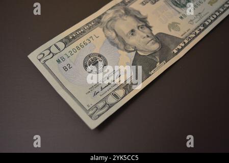 Économie, finance, littératie financière dollars américains $ 20 USD sous forme de papier sont sur un fond mat brun. Banque D'Images