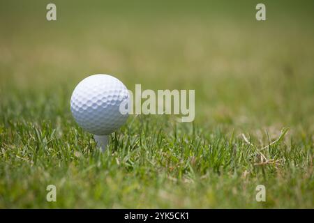 Balle de golf blanche sur un tee-shirt sur herbe verte – Golf parfait Banque D'Images