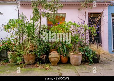 Cottages en terrasses colorés avec expositions de plantes en pot, centre de Londres, Royaume-Uni. Banque D'Images