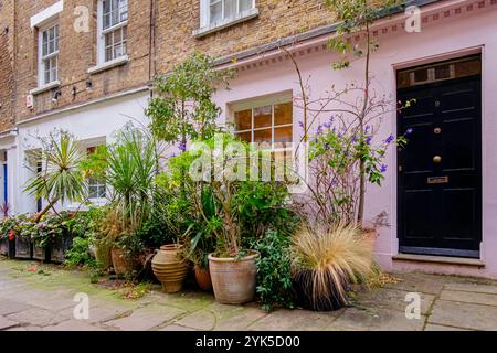 Cottages en terrasses colorés avec expositions de plantes en pot, centre de Londres, Royaume-Uni. Banque D'Images