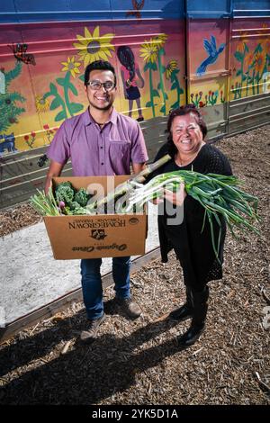 Une variété de fruits et légumes sont inclus dans une boîte de produits typique de l'agriculture soutenue par la communauté (CSA) de Huerta del Valle (HDV), celle-ci tenue par le ministère de l'Agriculture des États-Unis (USDA) Natural Resources conservation Service (NRCS) Redlands District Conservationist Tomas Aguilar-Campos, et préparé par la cofondatrice et directrice générale de HDV Maria Alonso au jardin et à la ferme biologique de 4 acres au milieu d’une communauté urbaine à faible revenu, où ils travaillent en étroite collaboration avec elle alors qu’elle continue d’améliorer l’exploitation agricole en Ontario, Californie, le 13 novembre 2018. USDA NR Banque D'Images