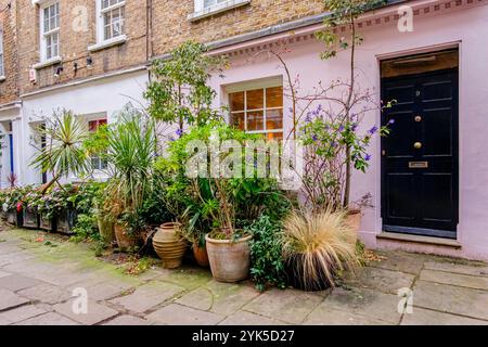 Cottages en terrasses colorés avec expositions de plantes en pot, centre de Londres, Royaume-Uni. Banque D'Images