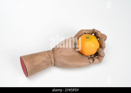 une mandarine dans la paume d'une main en bois sur un fond blanc Banque D'Images