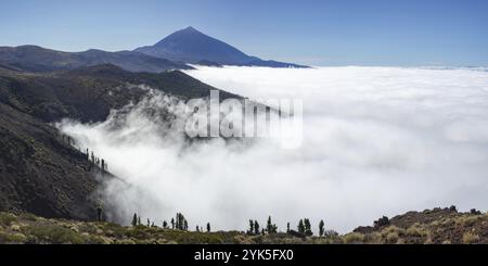 Panorama de l'est sur le parc national du Teide, Parque Nacional del Teide, avec des nuages de vent commercial, jusqu'au Pico del Teide, 3715m, Tenerife, îles Canaries Banque D'Images