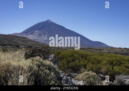 Panorama de l'est sur le Parc National du Teide, Parque Nacional del Teide, jusqu'au Pico del Teide, 3715m, Tenerife, Îles Canaries, Espagne, Europe Banque D'Images